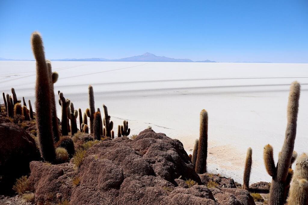 Cactus Island Salt Flats